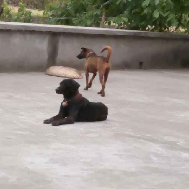 User profile picture